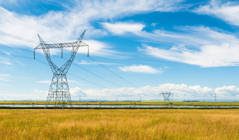 Wheat field with powerline utilities running through it