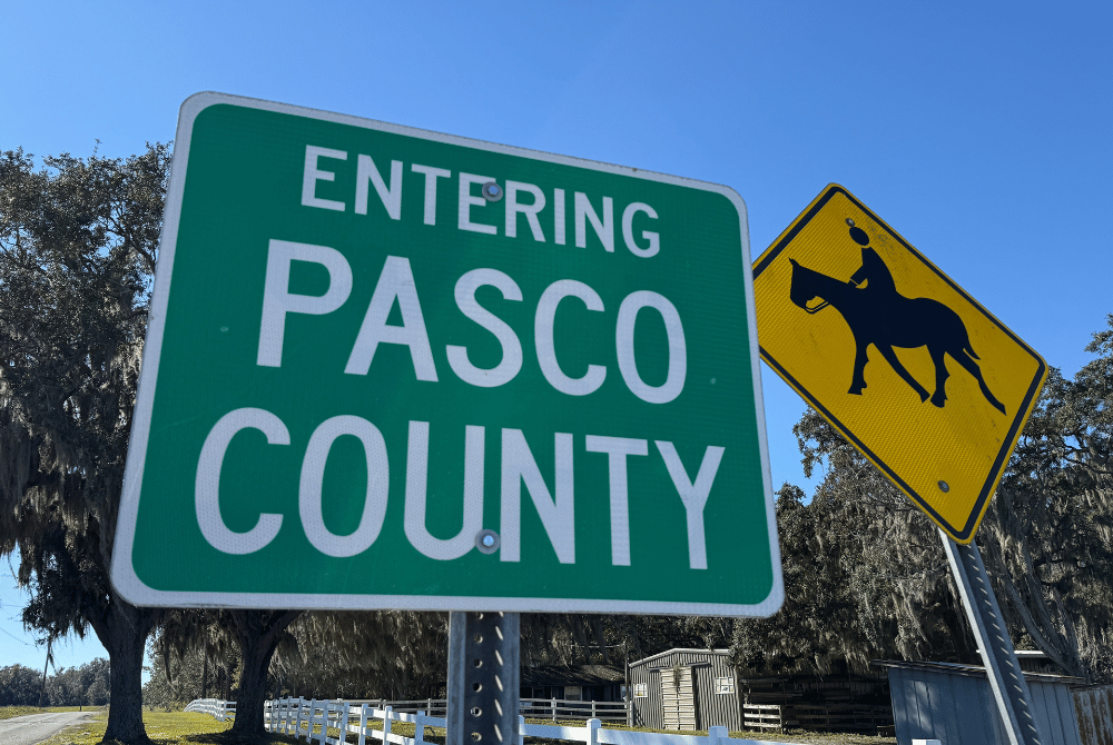 Green 'Entering Pasco County' sign next to a yellow horse crossing warning sign.